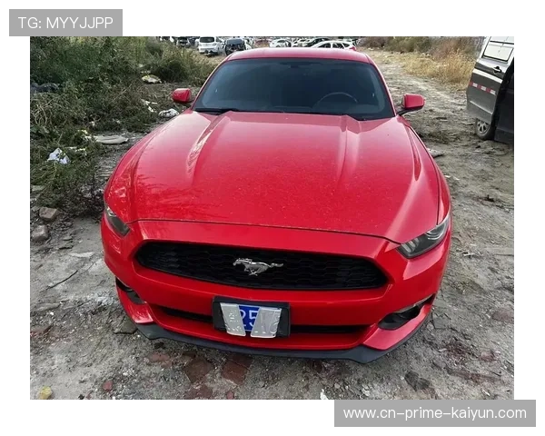 17款福特野马2.3T美版 小跑车优惠畅销中